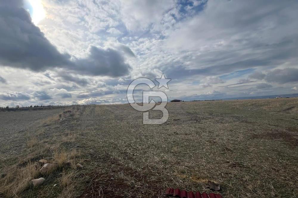 CB VİZYON GÖKHAN KORAL'DAN GERDER DE MANZARALI 5000 M2 TARLA