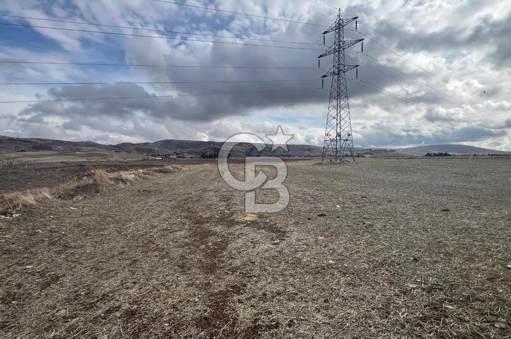 CB VİZYON GÖKHAN KORAL'DAN GERDER DE MANZARALI 5000 M2 TARLA