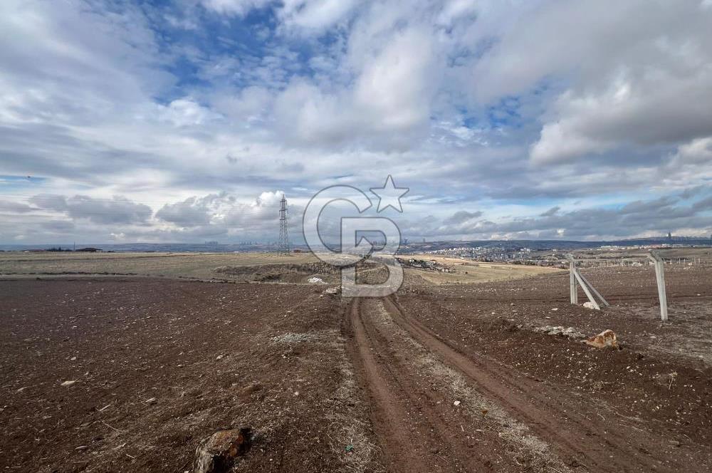 CB VİZYON GÖKHAN KORAL'DAN GERDER DE MANZARALI 5000 M2 TARLA