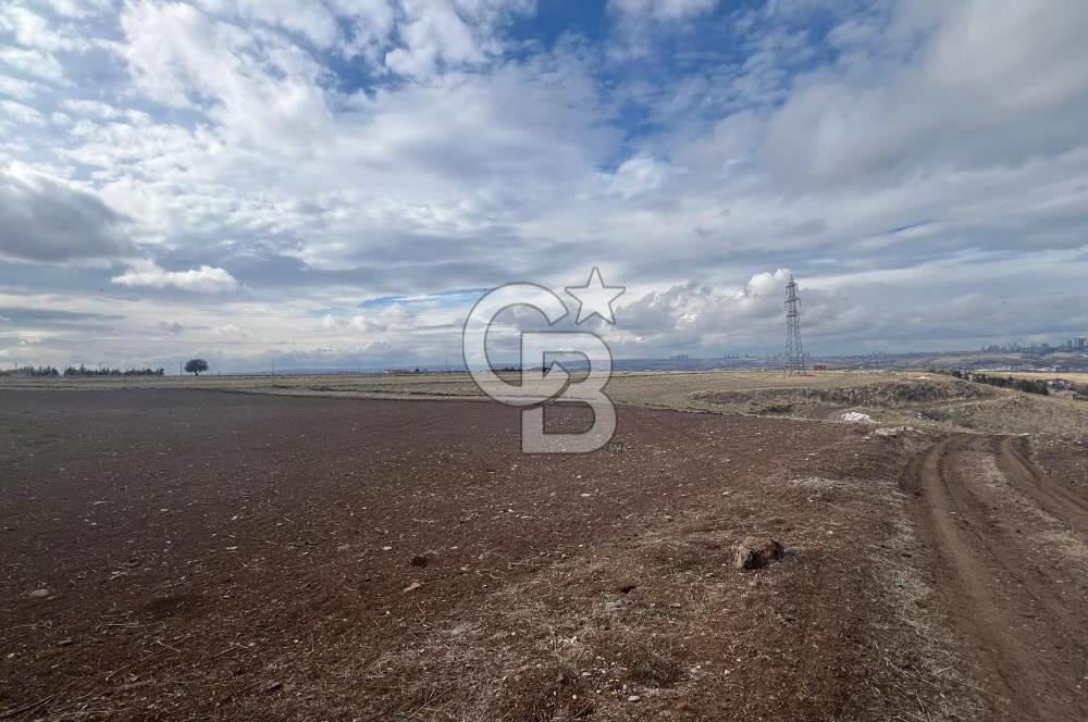 CB VİZYON GÖKHAN KORAL'DAN GERDER DE MANZARALI 5000 M2 TARLA