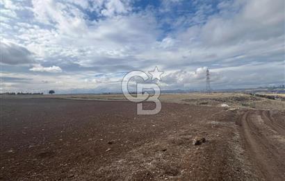 CB VİZYON GÖKHAN KORAL'DAN GERDER DE MANZARALI 5000 M2 TARLA