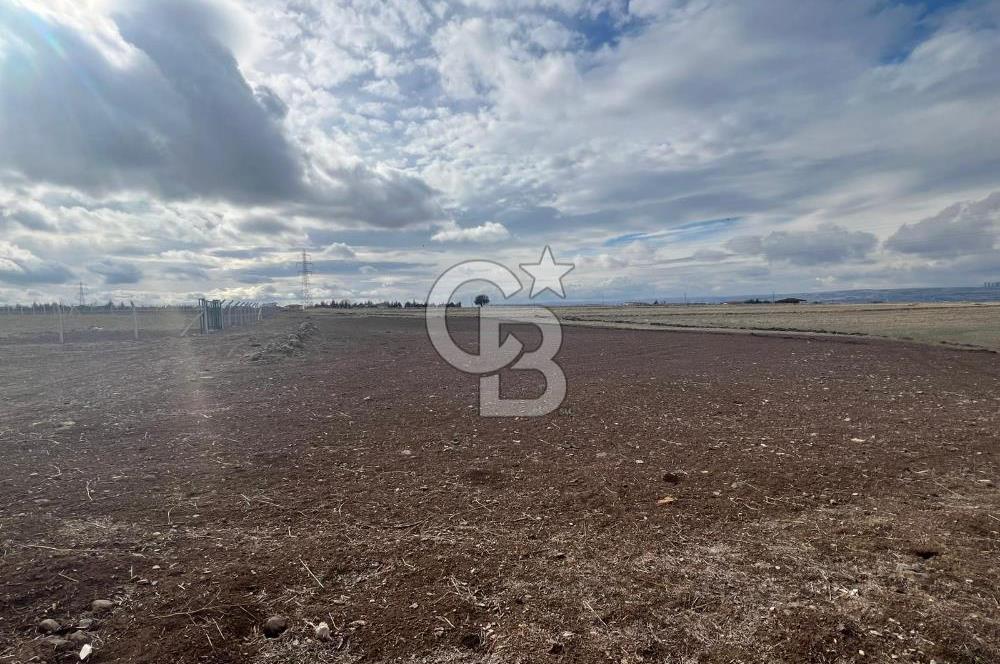 CB VİZYON GÖKHAN KORAL'DAN GERDER DE MANZARALI 5000 M2 TARLA