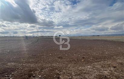 CB VİZYON GÖKHAN KORAL'DAN GERDER DE MANZARALI 5000 M2 TARLA