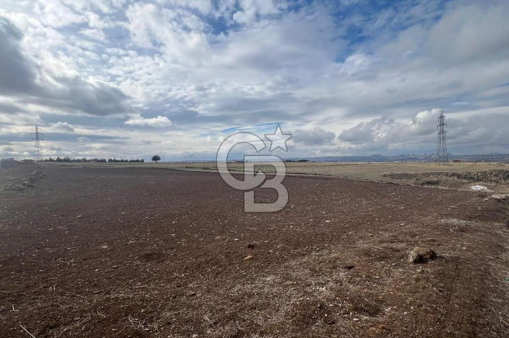 CB VİZYON GÖKHAN KORAL'DAN GERDER DE MANZARALI 5000 M2 TARLA