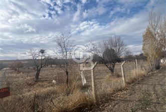 CB VİZYON GÖKHAN KORAL'DAN ASFALTA CEPHE İMAR SINIRINDA TARLA - 9 - 321601