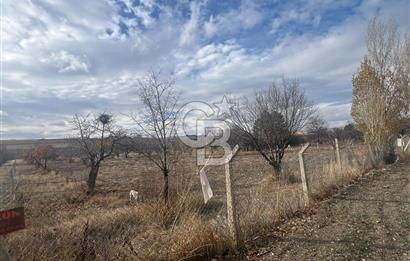 CB VİZYON GÖKHAN KORAL'DAN ASFALTA CEPHE İMAR SINIRINDA TARLA