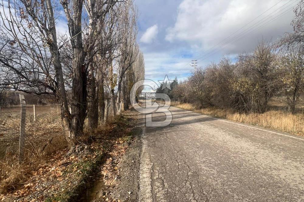 CB VİZYON GÖKHAN KORAL'DAN ASFALTA CEPHE İMAR SINIRINDA TARLA