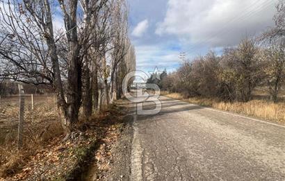 CB VİZYON GÖKHAN KORAL'DAN ASFALTA CEPHE İMAR SINIRINDA TARLA