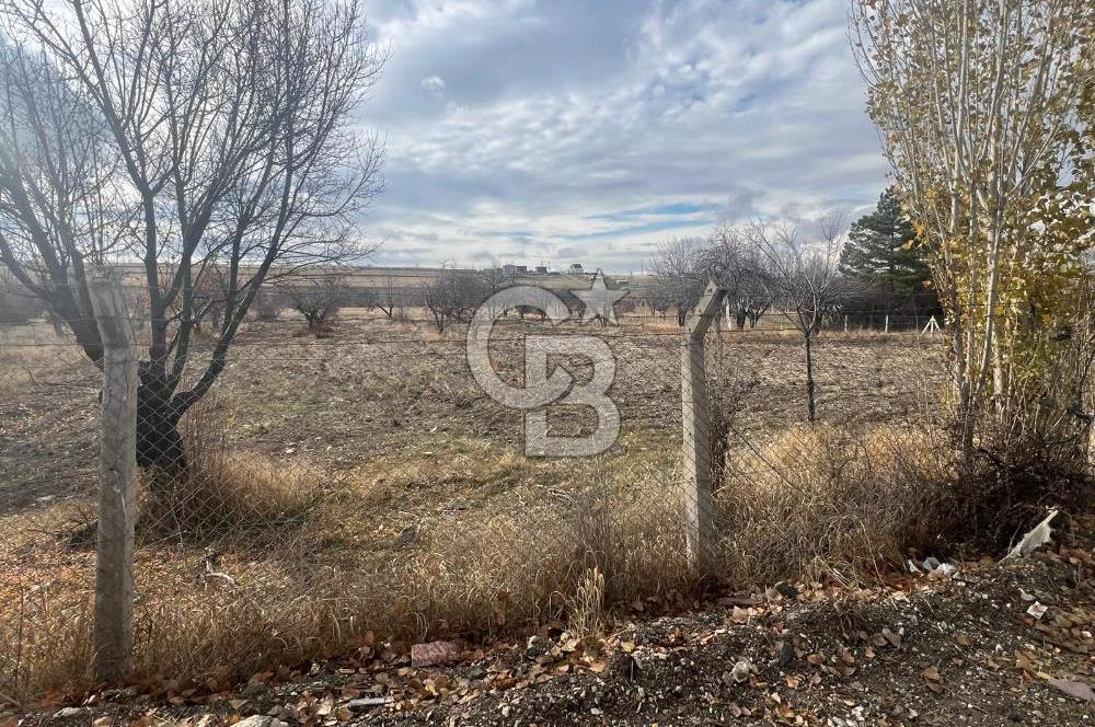 CB VİZYON GÖKHAN KORAL'DAN ASFALTA CEPHE İMAR SINIRINDA TARLA