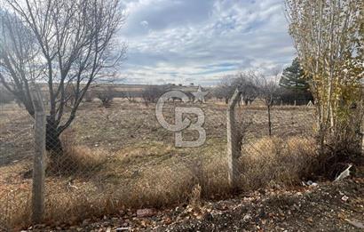 CB VİZYON GÖKHAN KORAL'DAN ASFALTA CEPHE İMAR SINIRINDA TARLA