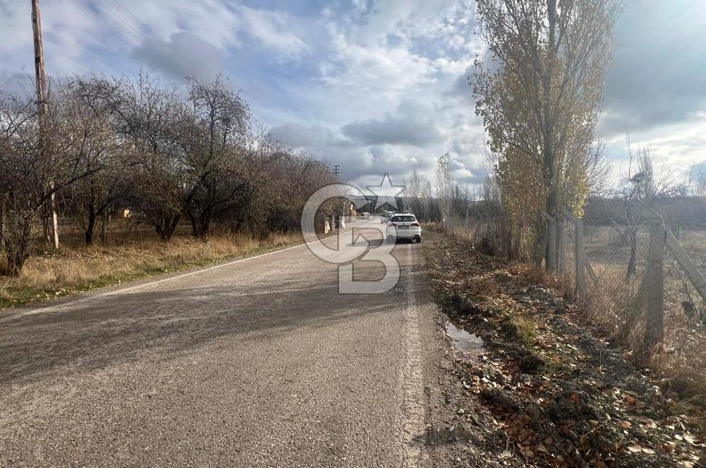 CB VİZYON GÖKHAN KORAL'DAN ASFALTA CEPHE İMAR SINIRINDA TARLA