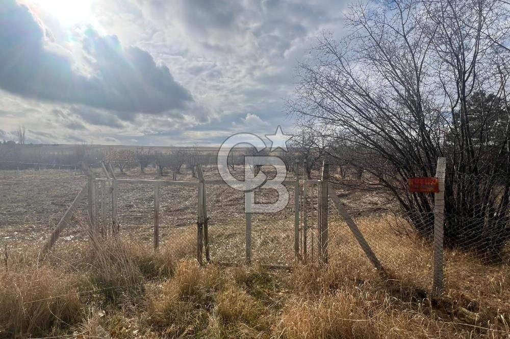 CB VİZYON GÖKHAN KORAL'DAN ASFALTA CEPHE İMAR SINIRINDA TARLA