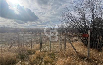 CB VİZYON GÖKHAN KORAL'DAN ASFALTA CEPHE İMAR SINIRINDA TARLA