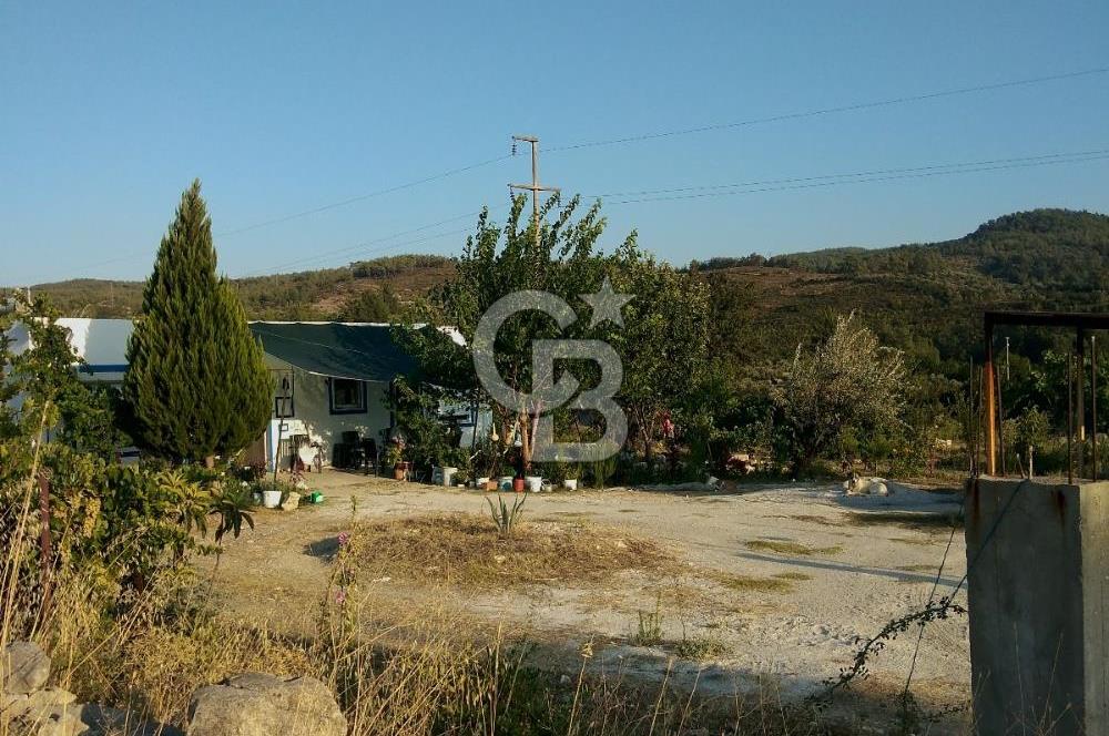 MUĞLA - MİLAS KARACAHİSAR MH. SATILIK 4.947 M² TARLA