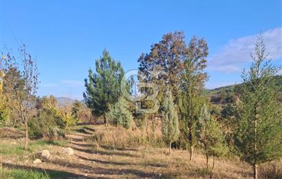 MUĞLA - MİLAS KARACAHİSAR MH. SATILIK 4.947 M² TARLA