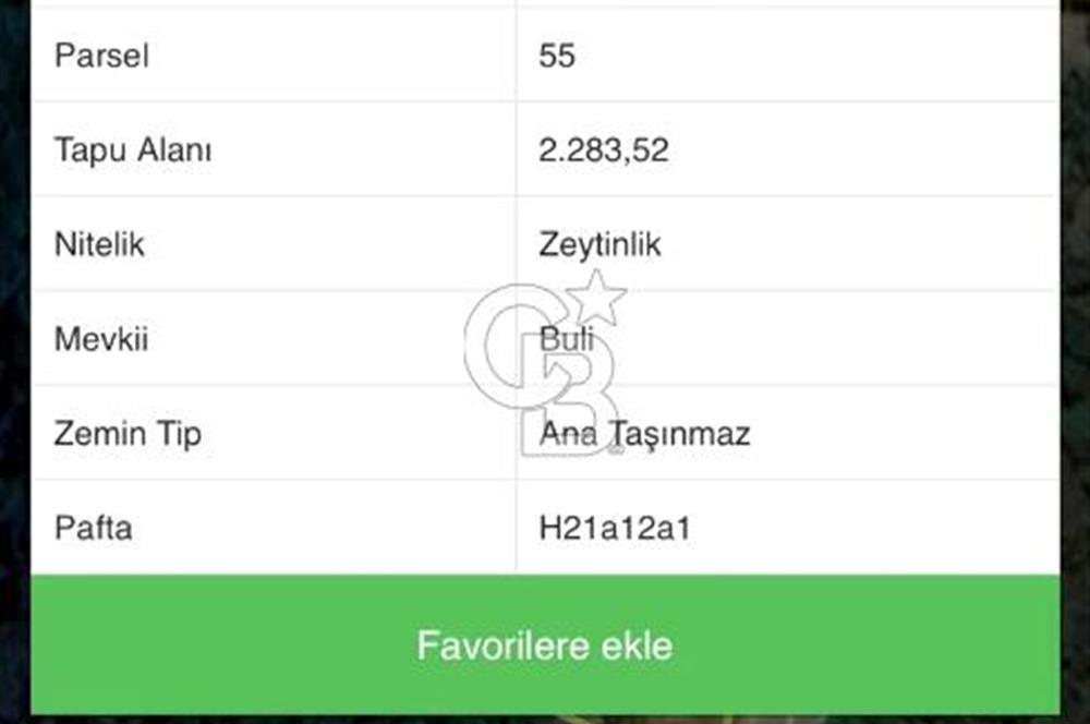 **FIRSAT**TRİLYE'DE ANA YOLA CEPHE SATILIK ZEYTİNLİK