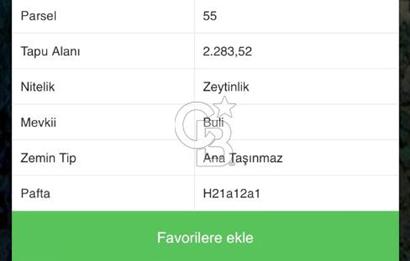 **FIRSAT**TRİLYE'DE ANA YOLA CEPHE SATILIK ZEYTİNLİK