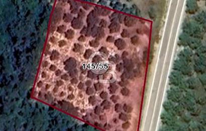 **FIRSAT**TRİLYE'DE ANA YOLA CEPHE SATILIK ZEYTİNLİK