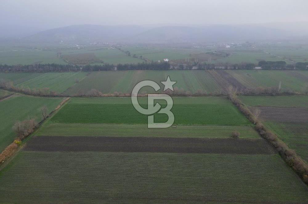 Balıkesir Pamukçu’da yola yakın 5.470 metre² yatırıma uygun tarla