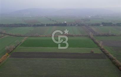 Balıkesir Pamukçu’da yola yakın 5.470 metre² yatırıma uygun tarla