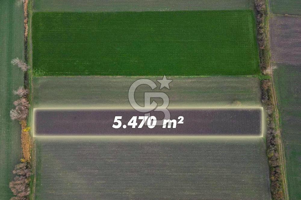 Balıkesir Pamukçu’da yola yakın 5.470 metre² yatırıma uygun tarla