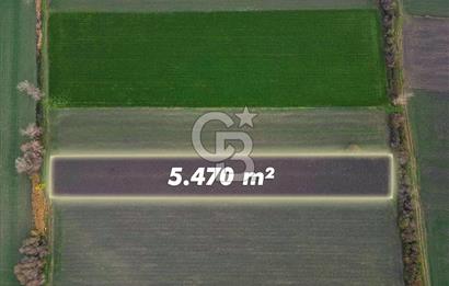 Balıkesir Pamukçu’da yola yakın 5.470 metre² yatırıma uygun tarla