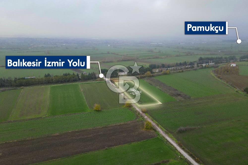 Pamukçu da ana yol üzerinde 