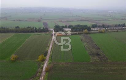 Pamukçu da ana yol üzerinde 