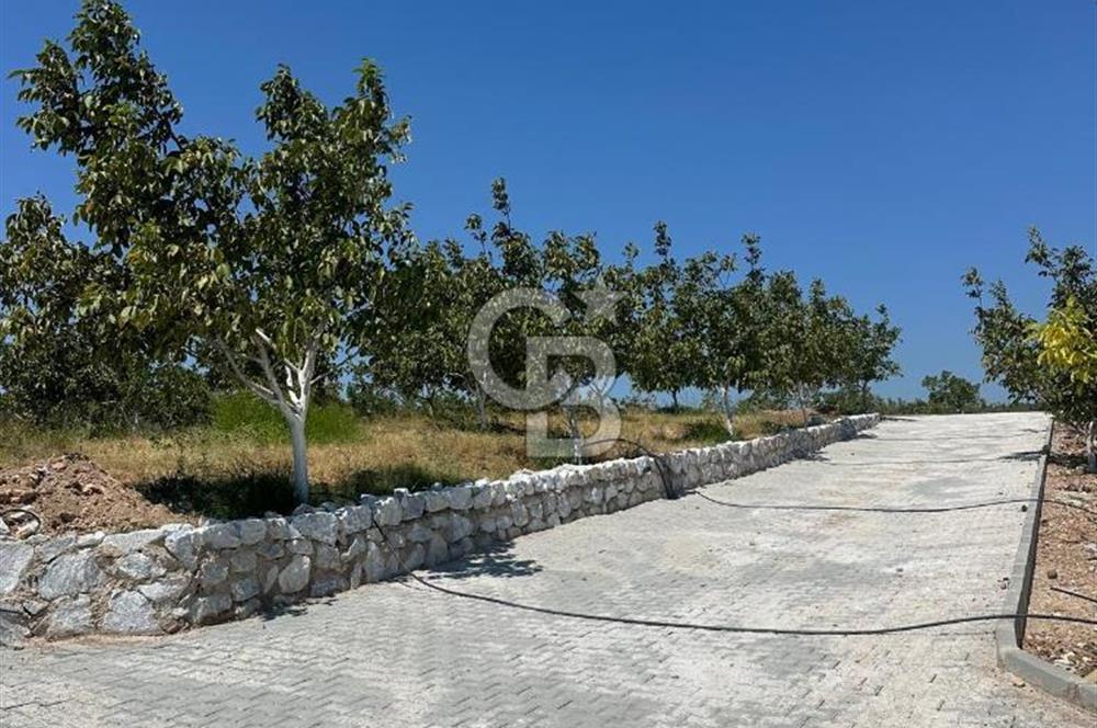 TİNY HOUSE’A UYGUN | GÖL MANZARALI | AYRANCILAR TİRİYANA YAŞAM EVLERİ KOOPERATİFİ