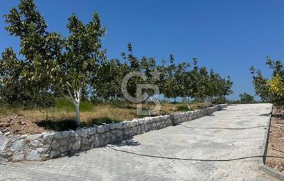 TİNY HOUSE’A UYGUN | GÖL MANZARALI | AYRANCILAR TİRİYANA YAŞAM EVLERİ KOOPERATİFİ