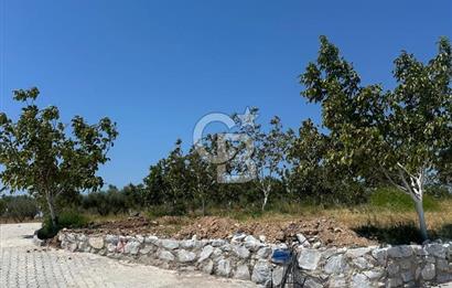 TİNY HOUSE’A UYGUN | GÖL MANZARALI | AYRANCILAR TİRİYANA YAŞAM EVLERİ KOOPERATİFİ