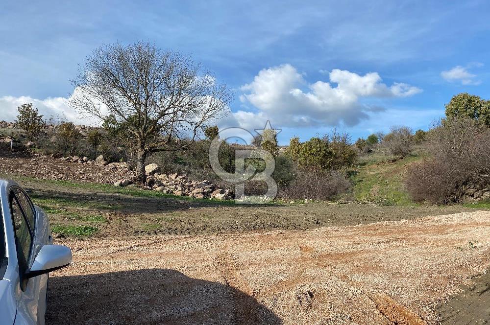 COLDWELL BANKER OFİS'DEN ÜÇPINAR'DA SATILIK TARLA