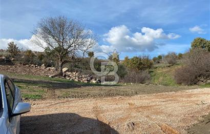 COLDWELL BANKER OFİS'DEN ÜÇPINAR'DA SATILIK TARLA