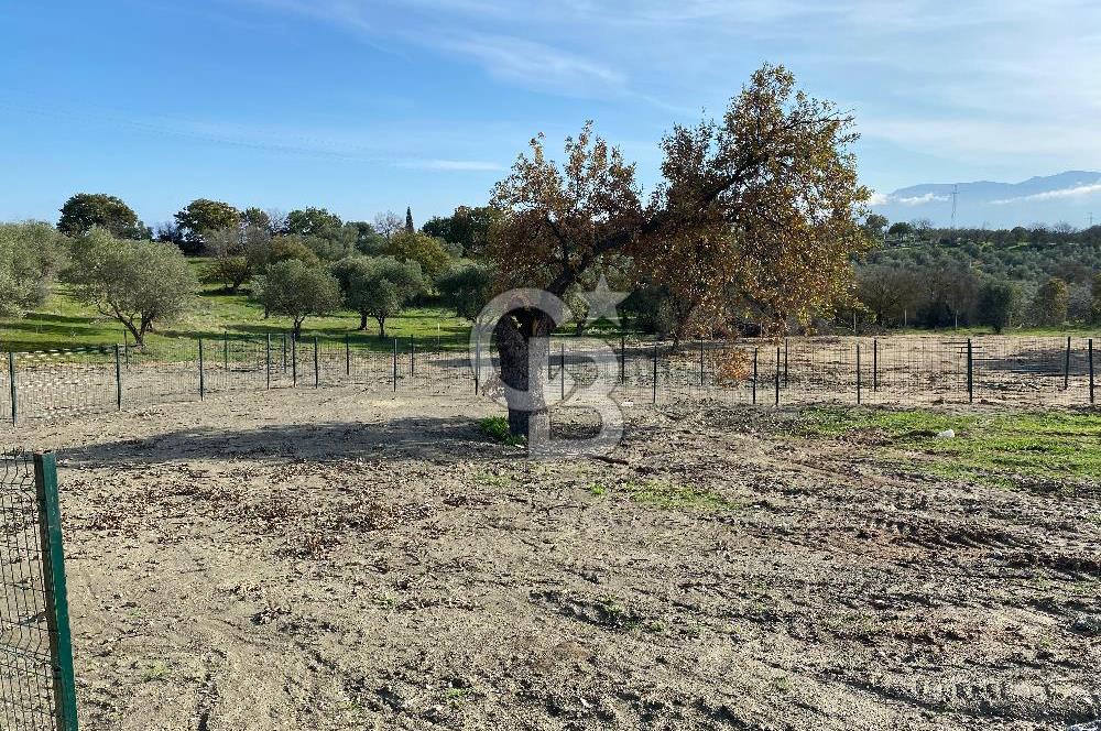 COLDWELL BANKER OFİS'DEN ÜÇPINAR'DA SATILIK TARLA