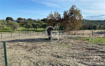 COLDWELL BANKER OFİS'DEN ÜÇPINAR'DA SATILIK TARLA