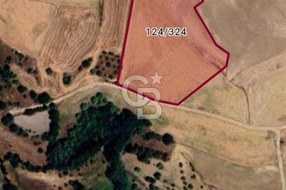 ESKİŞEHİR YOLUNA  10 DAKİKA  TEMELLİ ÜCRET MEVKİ 17.365 M2 TARLA