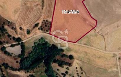 ESKİŞEHİR YOLUNA  10 DAKİKA  TEMELLİ ÜCRET MEVKİ 17.365 M2 TARLA