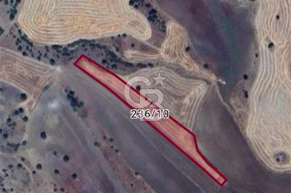 ULUS'A 55  KM  UZAKLIKTA ELMADAĞ KUŞCUALİ'DE 4190 M2 TEK TAPU