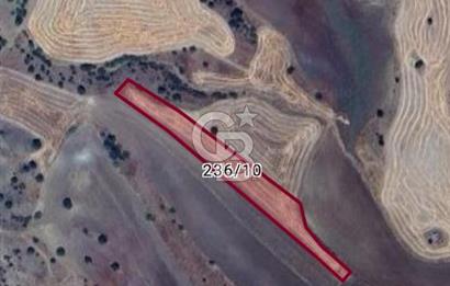 ULUS'A 55  KM  UZAKLIKTA ELMADAĞ KUŞCUALİ'DE 4190 M2 TEK TAPU