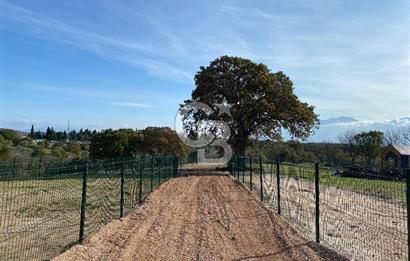 COLDWELL BANKER OFİS'DEN ÜÇPINAR'DA SATILIK TARLA