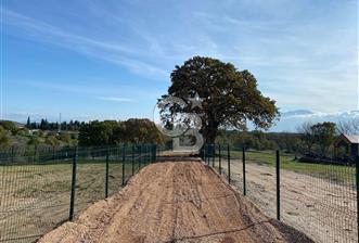 COLDWELL BANKER OFİS'DEN ÜÇPINAR'DA SATILIK TARLA - 7 - 321836