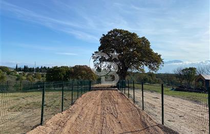 COLDWELL BANKER OFİS'DEN ÜÇPINAR'DA SATILIK TARLA