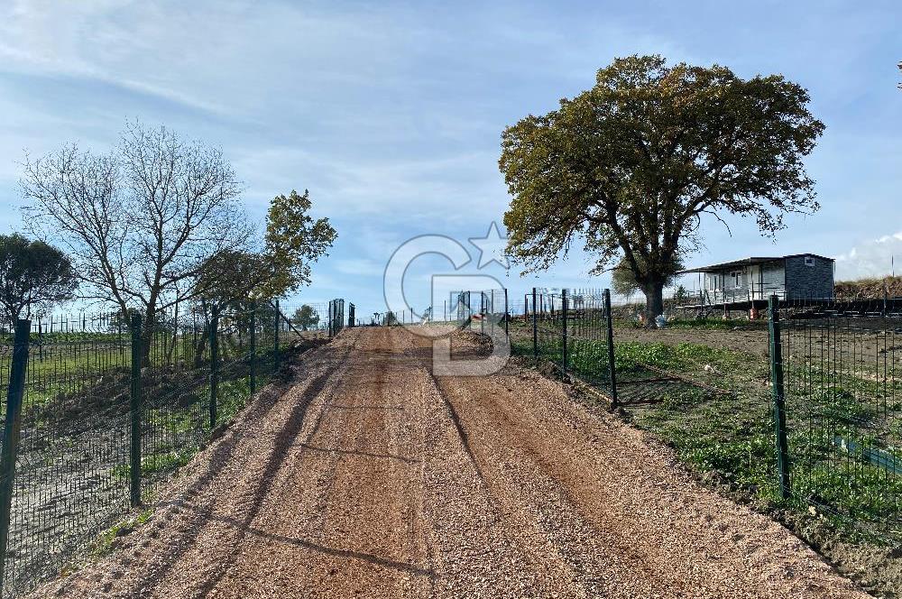 COLDWELL BANKER OFİS'DEN ÜÇPINAR'DA SATILIK TARLA