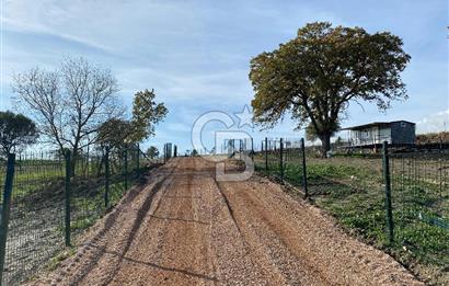 COLDWELL BANKER OFİS'DEN ÜÇPINAR'DA SATILIK TARLA