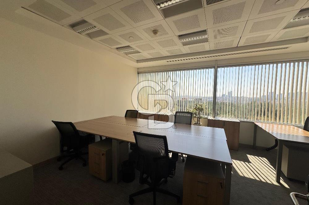 NEO' DAN WINDOWIST' TE BÜTÜN GİDERLER DAHİL YARIM KAT HAZIR OFİS