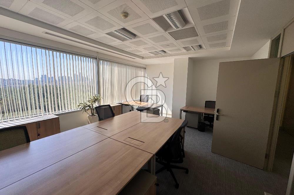 NEO' DAN WINDOWIST' TE BÜTÜN GİDERLER DAHİL YARIM KAT HAZIR OFİS