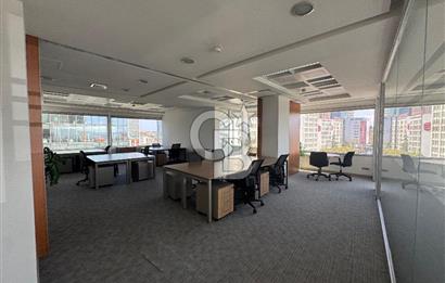 NEO' DAN WINDOWIST' TE BÜTÜN GİDERLER DAHİL YARIM KAT HAZIR OFİS