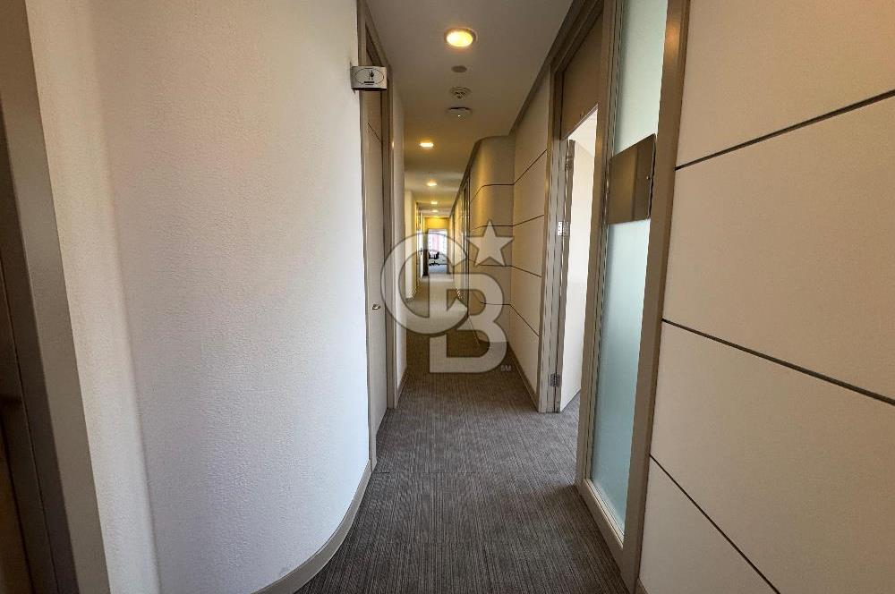 NEO' DAN WINDOWIST' TE BÜTÜN GİDERLER DAHİL YARIM KAT HAZIR OFİS