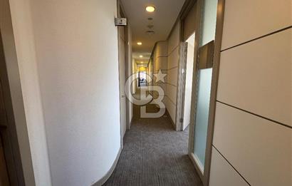 NEO' DAN WINDOWIST' TE BÜTÜN GİDERLER DAHİL YARIM KAT HAZIR OFİS