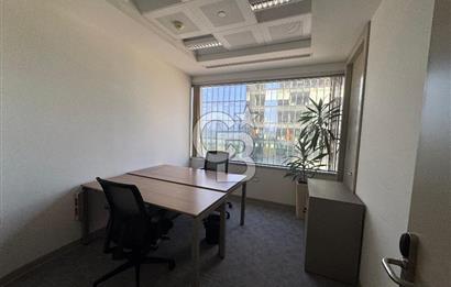 NEO' DAN WINDOWIST' TE BÜTÜN GİDERLER DAHİL YARIM KAT HAZIR OFİS